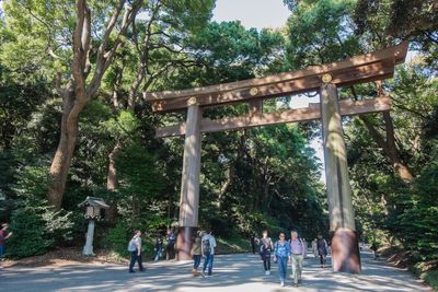 People walking on tree trunk