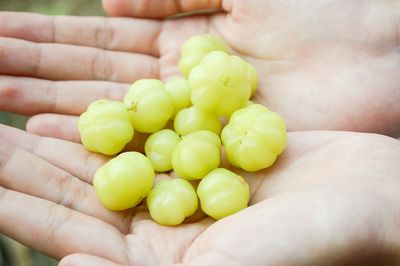 Close-up of hand holding grapes