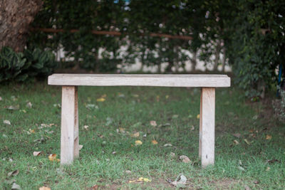 Empty bench in park