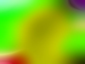Defocused image of multi colored background