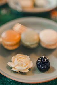 Close-up of cake in plate