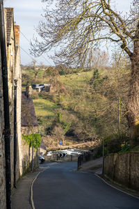 Road by trees in city against sky