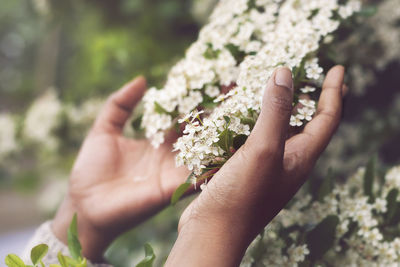 Close-up of cropped hand holding plant
