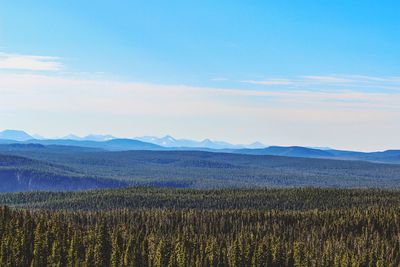 Scenic view of landscape against sky