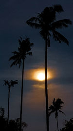 Silhouette palm trees against romantic sky at sunset