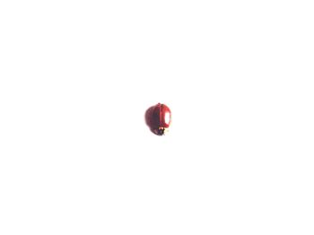 Low angle view of red balloons