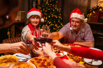 Portrait of smiling friends toasting drinks at home