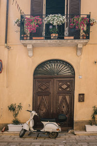 Potted plant against wall