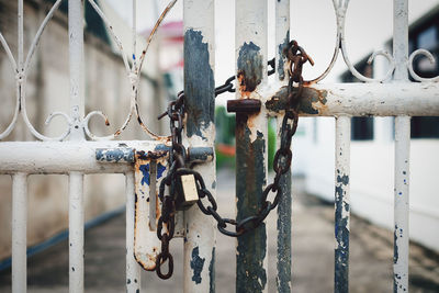 Close-up of locked gates