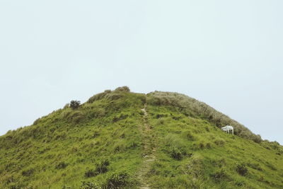 Scenic view of land against clear sky