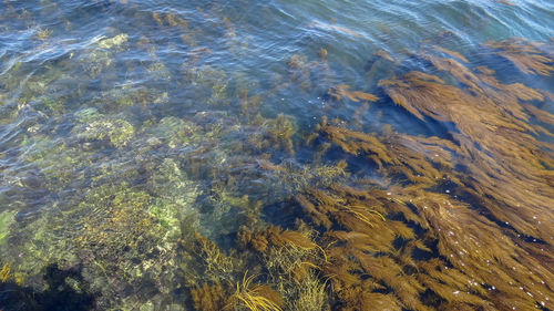 High angle view of rippled sea water