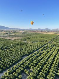 Hot air balloon ride 