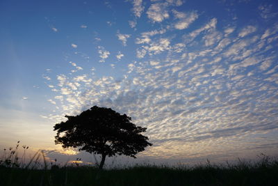 Silhouette tree against sky during sunset