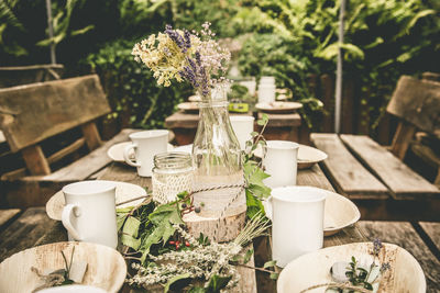 Potted plants and plates arranged on table 