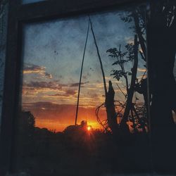 Silhouette trees against sky during sunset