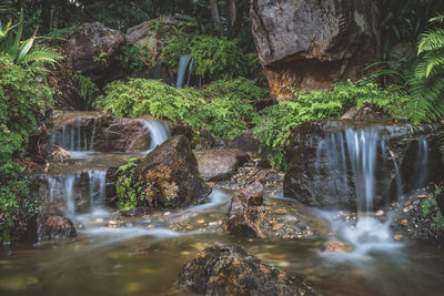 Waterfall in forest
