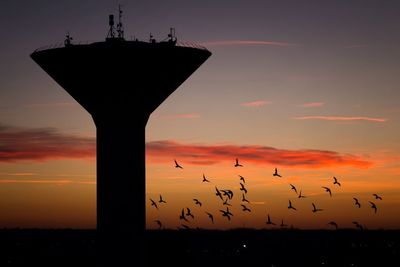 Silhouette birds against sky during sunset