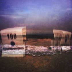 Close-up of tree stump