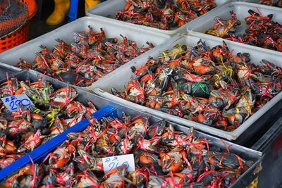 Maeklong railway street fish market bangkok thailand street where train passes daily fresh fish asia