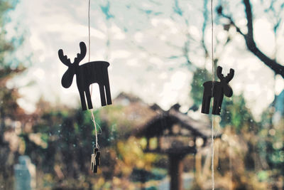 Close-up of swing hanging on plant