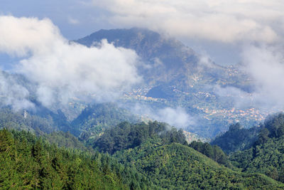 Panoramic view of trees and mountains against sky