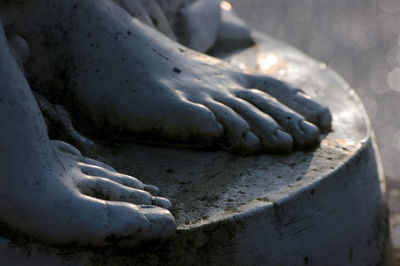 Close-up of statue