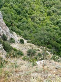 High angle view of landscape