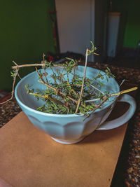 High angle view of potted plant on table