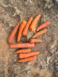 High angle view of orange on ground