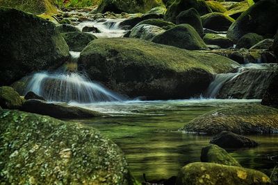 Scenic view of waterfall in forest