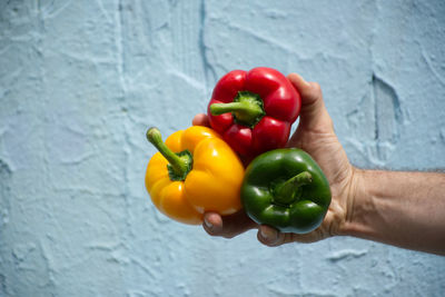 Midsection of person holding red bell peppers