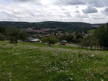 Scenic view of landscape against sky