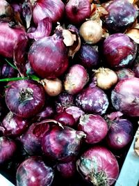 Full frame shot of purple