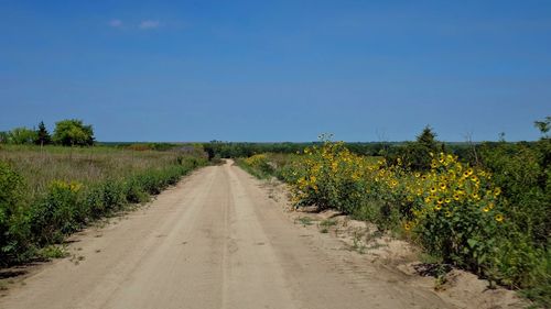 Road amidst field against clear sky