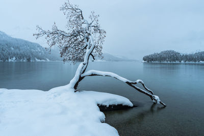 Scenic view of frozen lake against sky