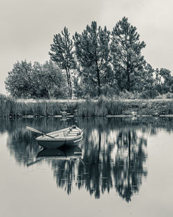 Scenic view of lake against trees