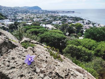 High angle view of townscape by sea against sky