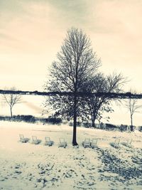 Bare tree on snow covered field against sky