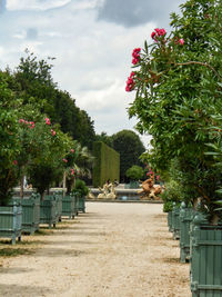 Scenic view of flowering plants by trees against sky