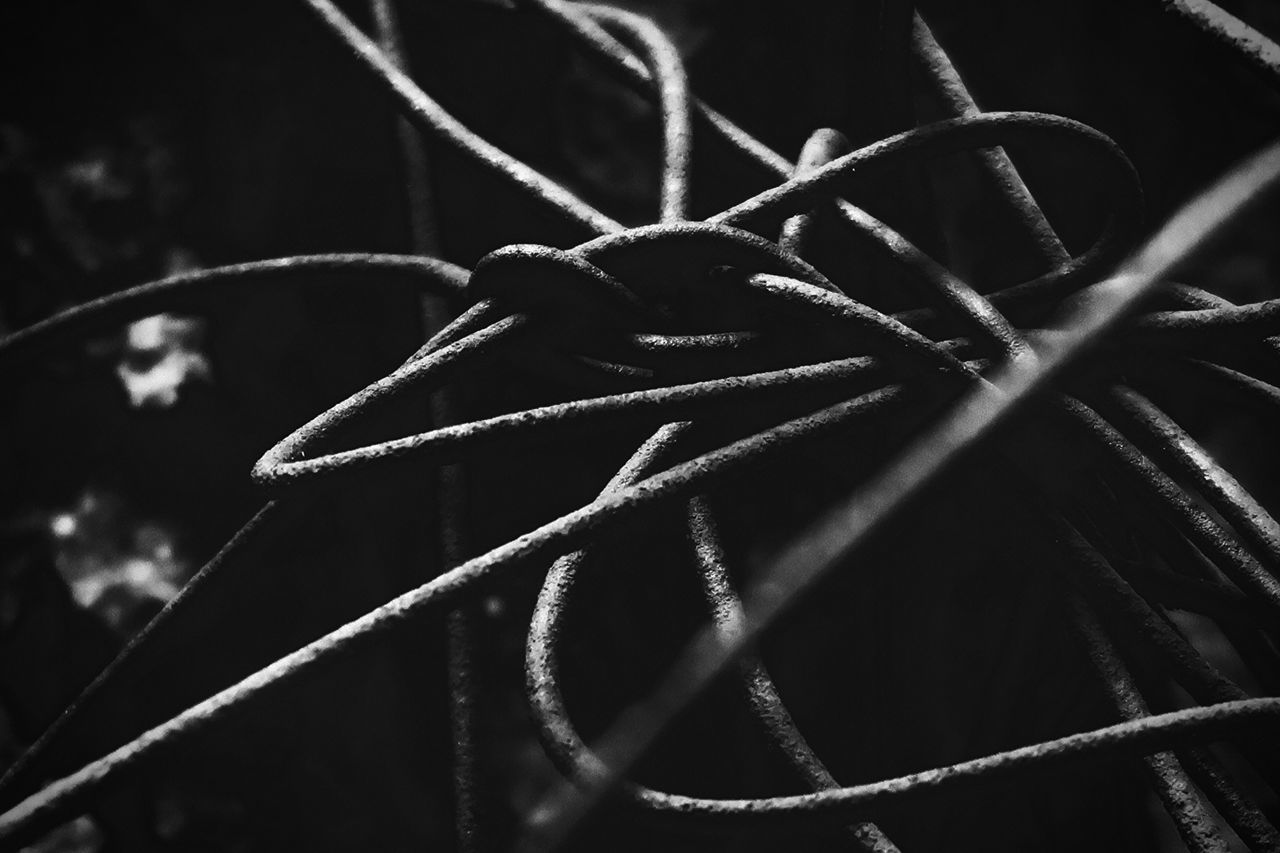 black and white, monochrome, monochrome photography, black, darkness, close-up, no people, spider web, branch, macro photography, light, line, leaf, nature, selective focus, focus on foreground, moisture, plant, pattern, metal