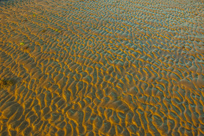 Full frame shot of sea shore