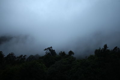 Silhouette trees in forest against sky