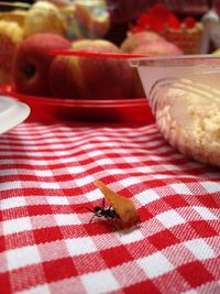 Close-up of food on table