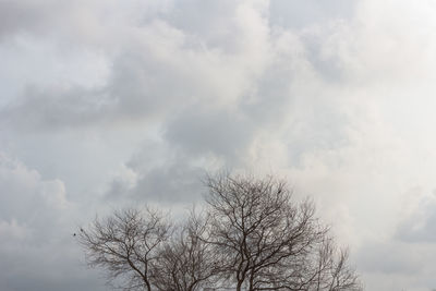 Low angle view of bare tree against cloudy sky