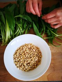 Preparing ingredients for wild garlic pesto