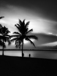 Silhouette palm tree on beach against sky