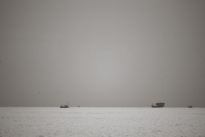 Sailboat sailing in sea against clear sky