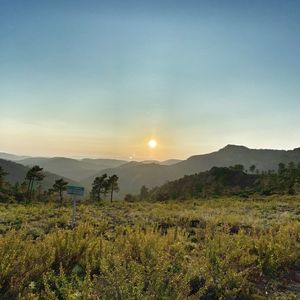 Scenic view of field against sky during sunset