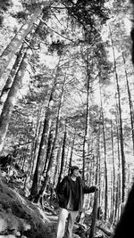 Low angle view of man on swing in forest