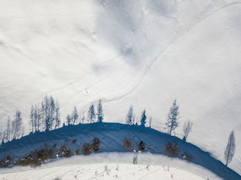 Snow covered land and trees against sky